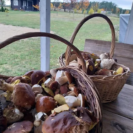 Dom Bzy I Magnolie Pojezierze Drawskie * Lubowo (Szczecinek)