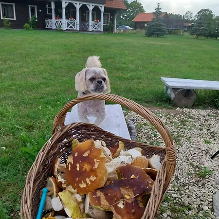 Dom Bzy I Magnolie Pojezierze Drawskie